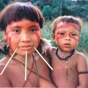 40 años de la Amazonía indígena