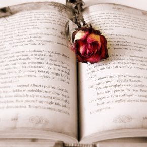 Convocatoria Premio Nacional de Novela 2018