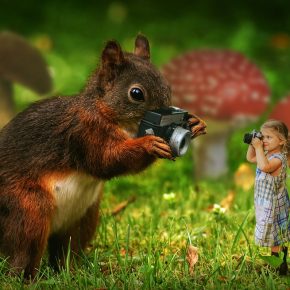 Contemos una historia sin palabras