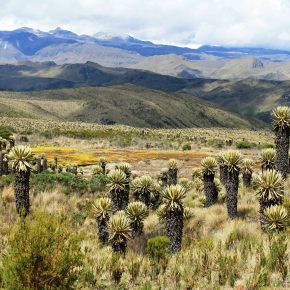 Caminata Bogotá – Ubaque