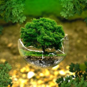¿Qué es la contabilidad ambiental? ¿Qué es la contabilidad ambiental?