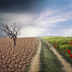 Impacto de los residuos en el cambio climático