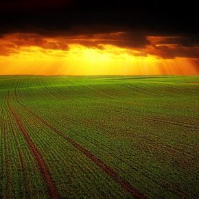 Curso online del BID sobre economía naranja