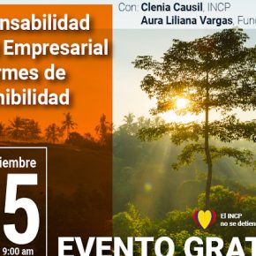 Conferencia virtual: Responsabilidad Social Empresarial e Informes de Sostenibilidad