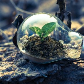 ¿Cuáles son los impactos de las nuevas normas de sostenibilidad? ¿Cuáles son los impactos de las nuevas normas de sostenibilidad?