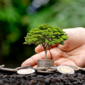 Conoce las taxonomías de las finanzas sostenibles Conoce las taxonomías de las finanzas sostenibles
