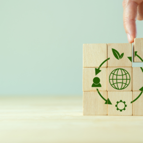 Aplica los procesos de la economía circular Aplica los procesos de la economía circular