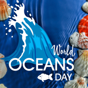¡Celebra el día de los océanos en el Planetario!