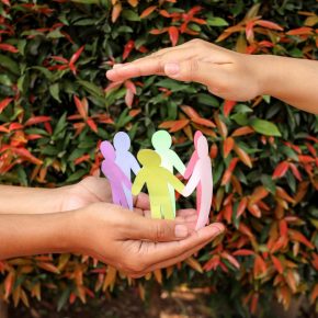 Aprende sobre el sector solidario y cooperativo